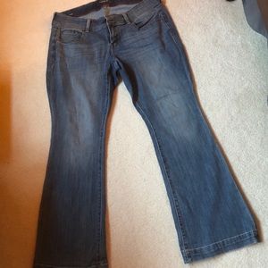 Torrid Premium Jeans Flare Sz 14 Reg